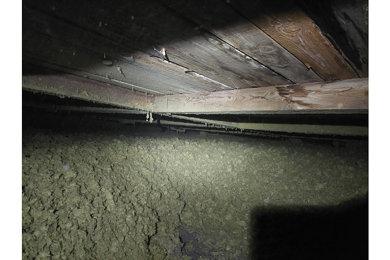 Slušní a pracovití chlapi, děkuji celé firmě.